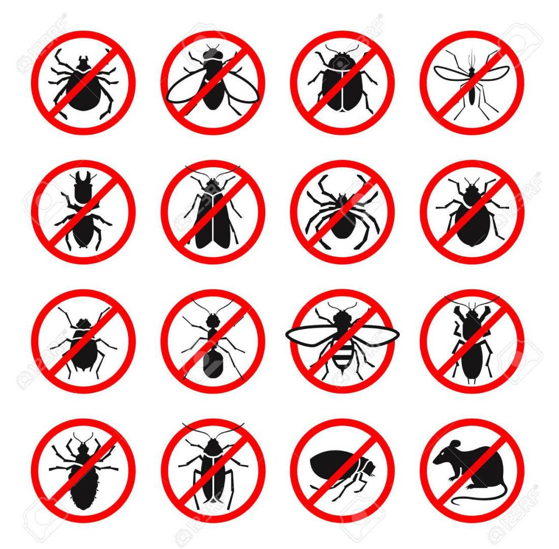 Pest control. Harmful insects and rodents set icons. Vector illustration